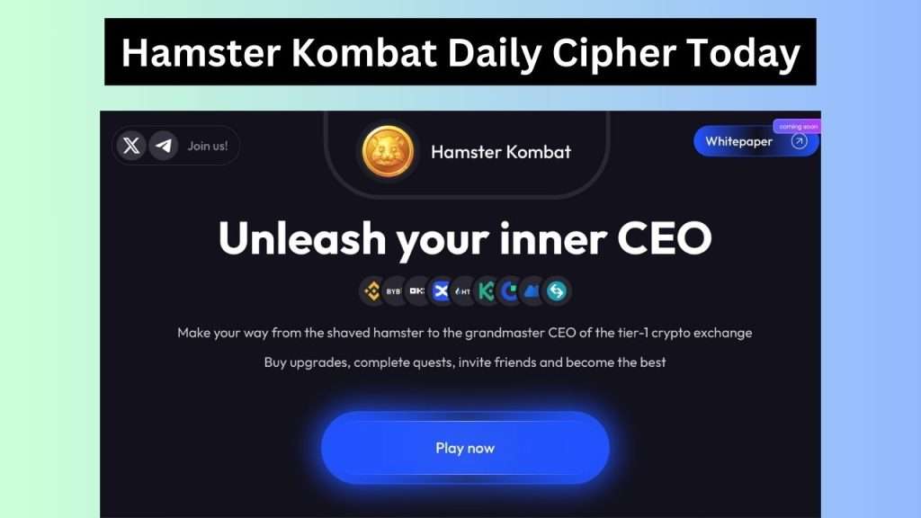 Daily Cipher Hamster Kombat Code Today 6 July