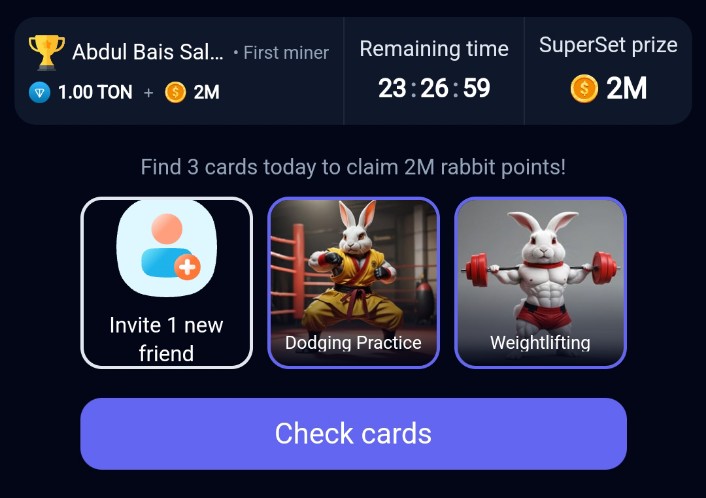 Rocky Rabbit Combo Card 