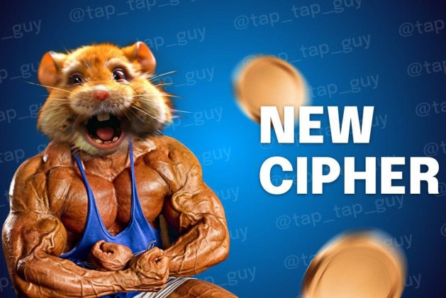 Hamster Kombat Daily Cipher Code Today August 1