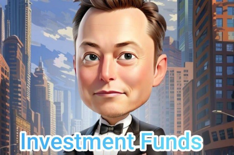 Where Can You Find the Musk Empire Investment Funds Daily Combo?