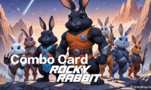 Rocky Rabbit Daily Combo Card Today 23 July