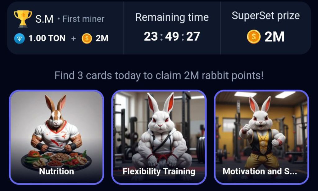 Rocky Rabbit Daily Combo Cards August 3