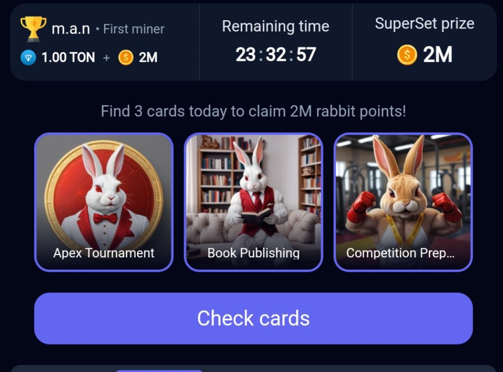 Rocky Rabbit Daily Combo Cards August 5