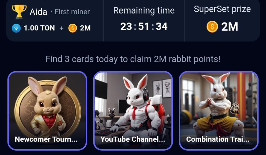 Rocky Rabbit Daily Combo Cards August 6