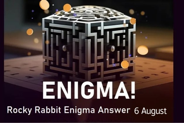 Rocky Rabbit Enigma 6 August