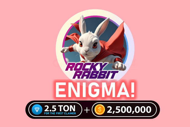 Rocky Rabbit Enigma Solution August 25 2024