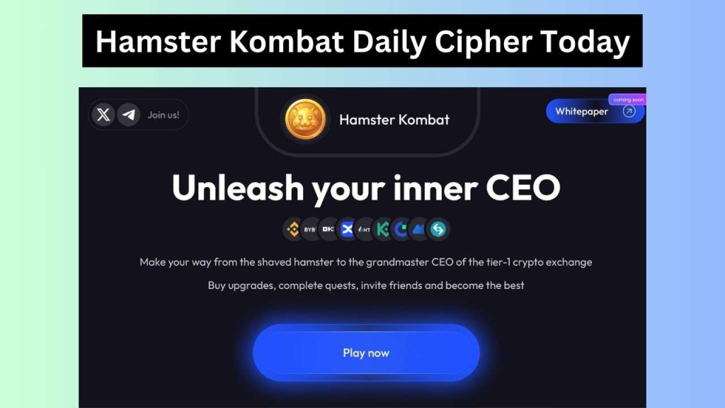 Hamster Kombat Daily Cipher August 29 2024